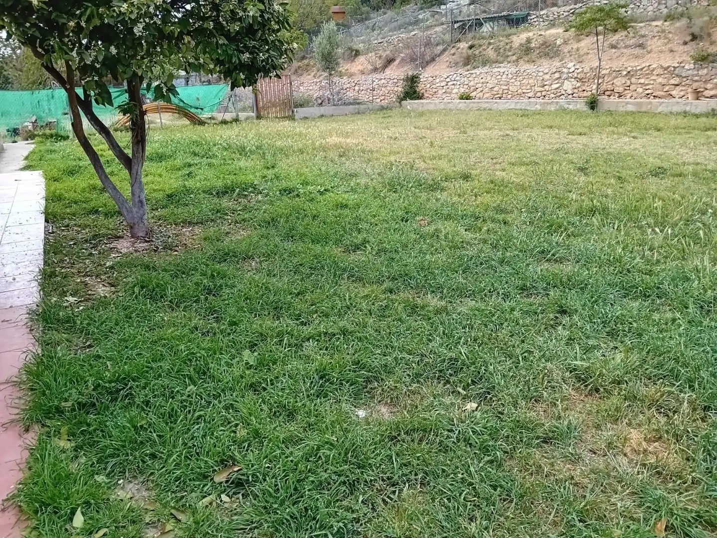Casa rústica en venta en Mas Alba, imagen 9