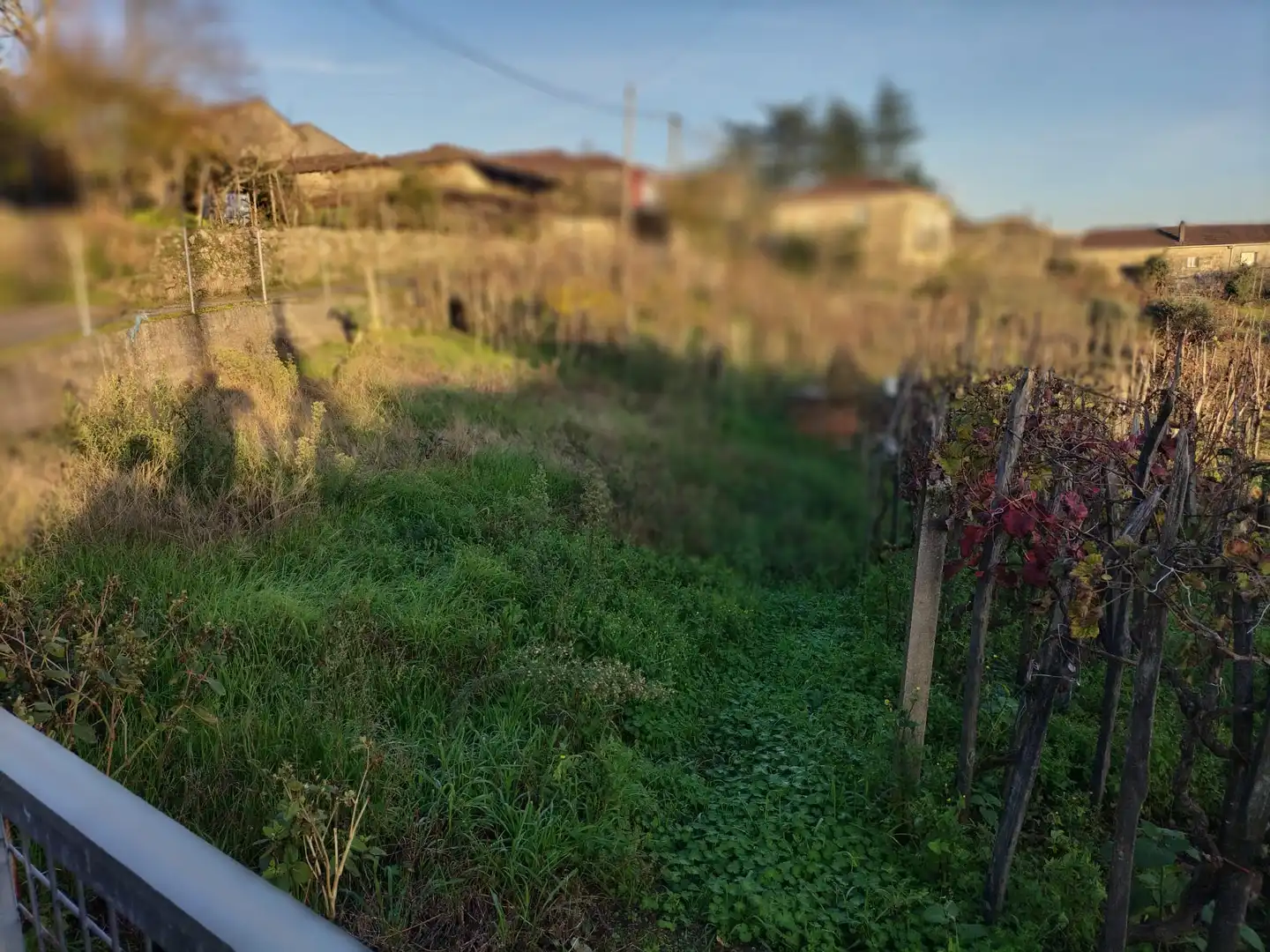 Finca rústica en venta en Ourense Capital  con Jardín privado, Terraza y Balcón