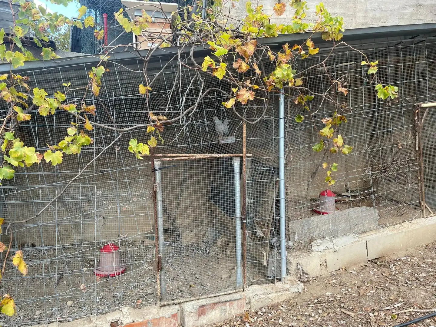 Terreno residenziale in vendita a Els Hostalets de Pierola, imagen 11