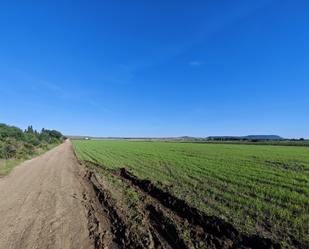 Land for sale in Vejer de la Frontera