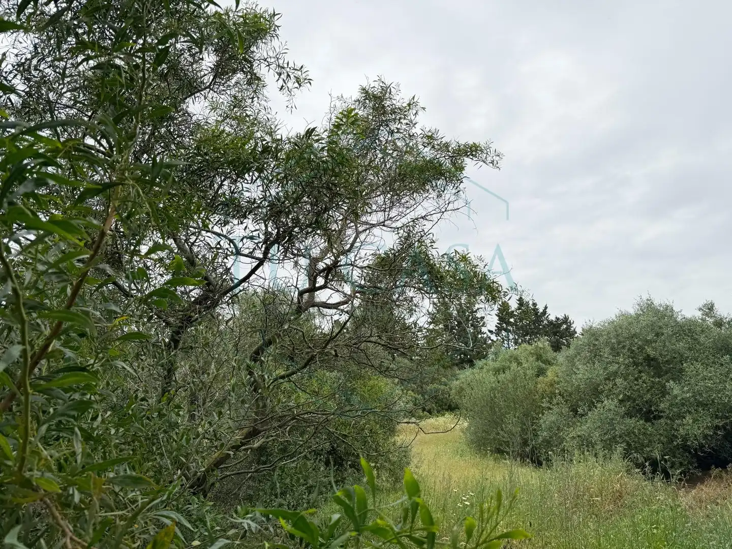 Terreni e lotti in vendita a Villanueva Golf, imagen 7