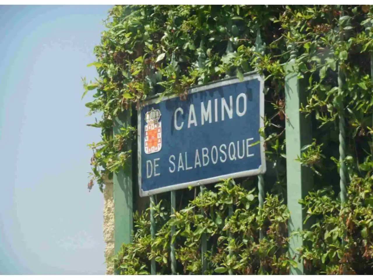 Terreny rústic en venda a Calle Poeta Sánchez Buendía, imagen 5