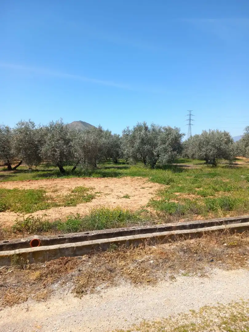 Terreni e lotti in vendita a Atarfe