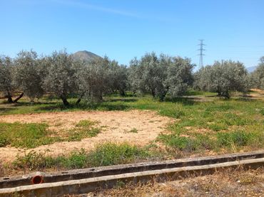 Terreno rustico in vendita a Santa Adela - Parque Leyva Loro