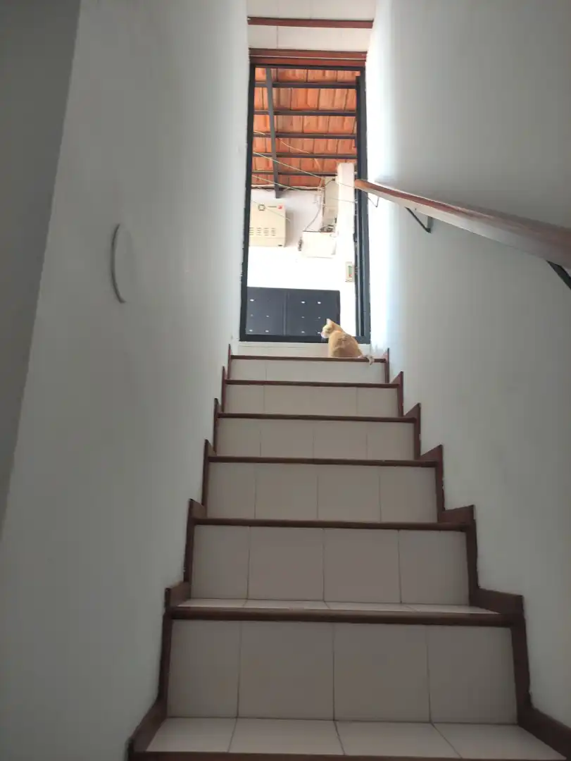 Haus zum Verkauf in Calle San Francisco 63, imagen 6