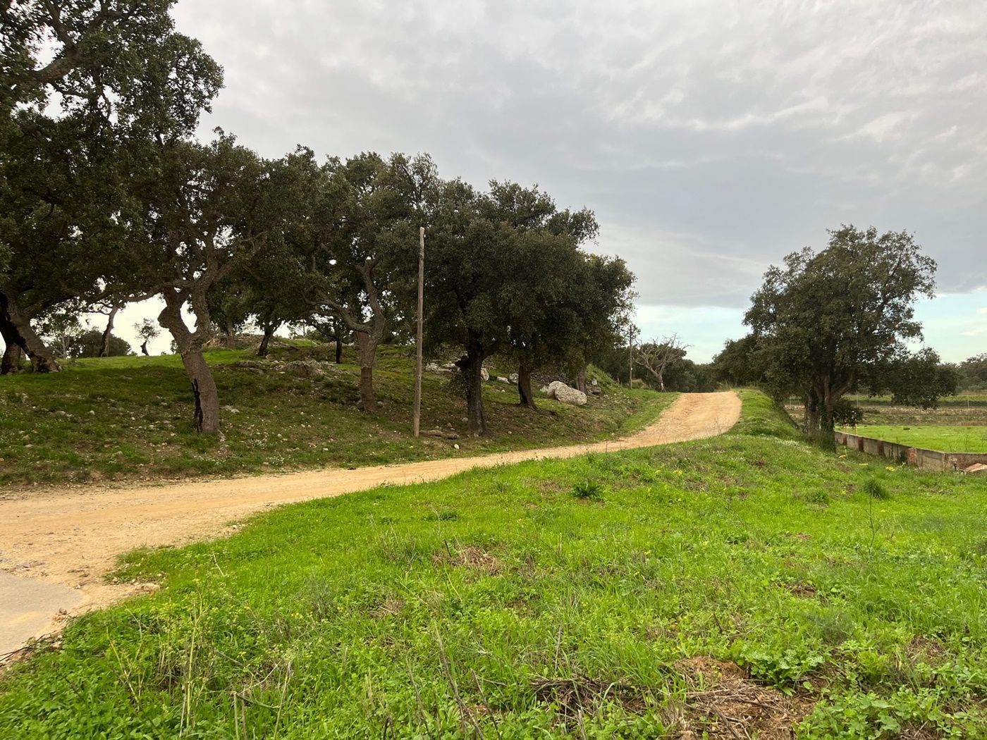 Residential for sale in Capmany