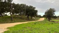 Residential for sale in Capmany