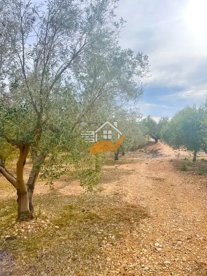 Grundstücke und Bauplätze zum Verkauf in Abanilla, imagen 12