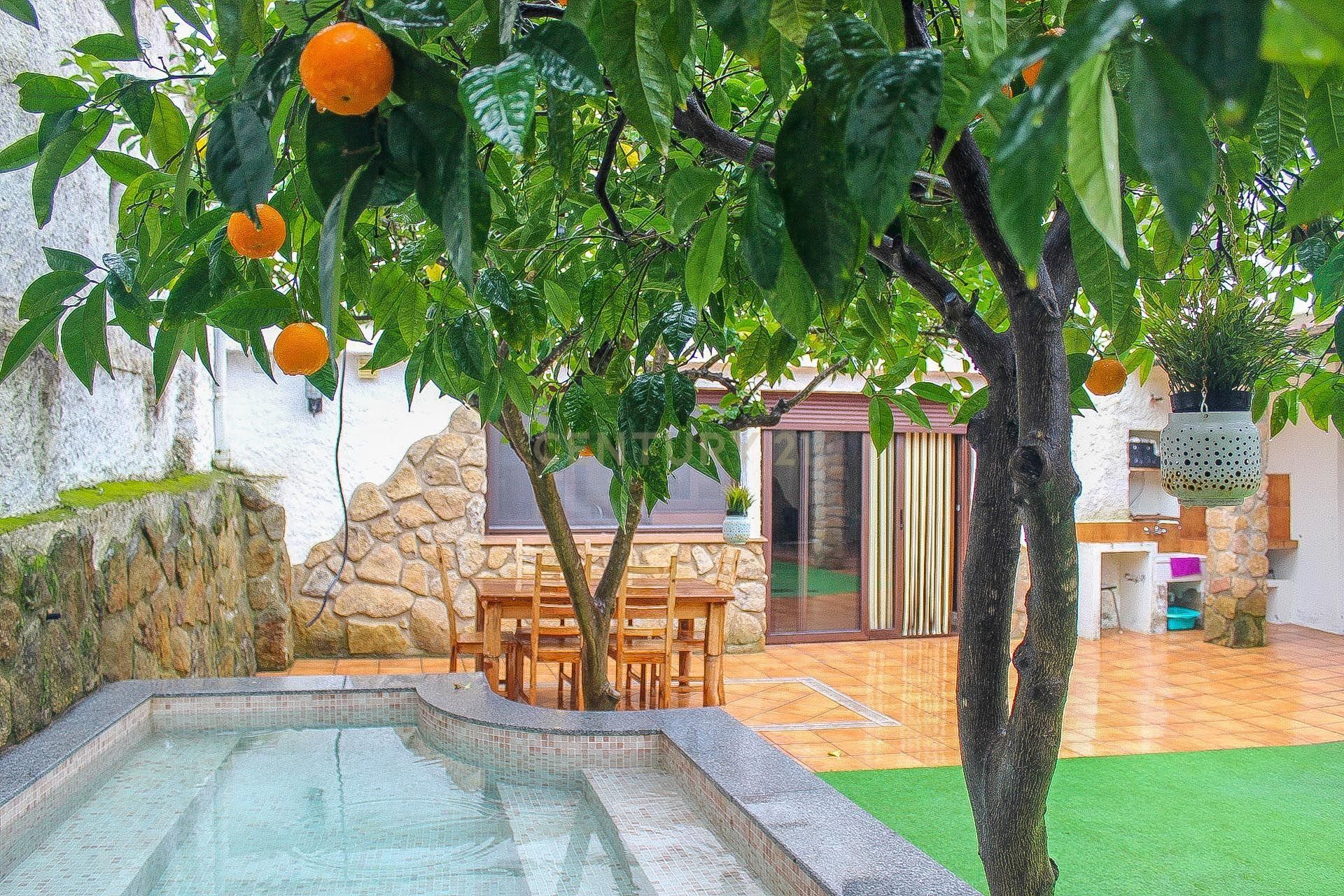 Garden of House or chalet for sale in Casas de Don Pedro  with Storage room and Swimming Pool