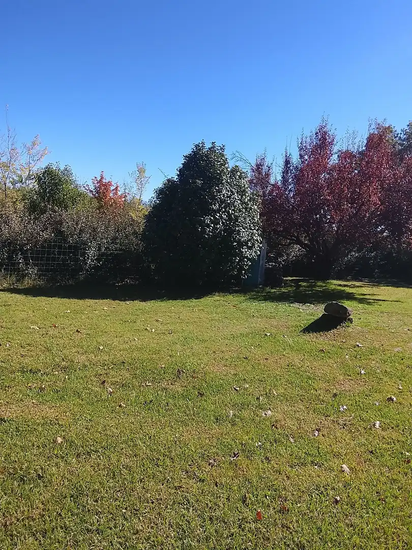 Haus mit Garten zum Verkauf in Madrigal de la Vera, imagen 106
