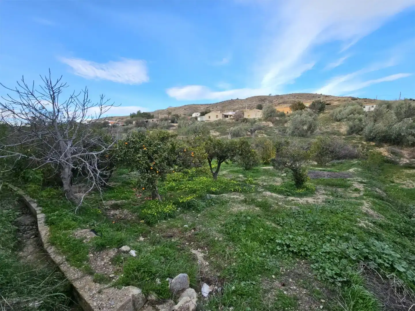 Country homes for sale in Albox  with Private garden, Storage room and Furnished