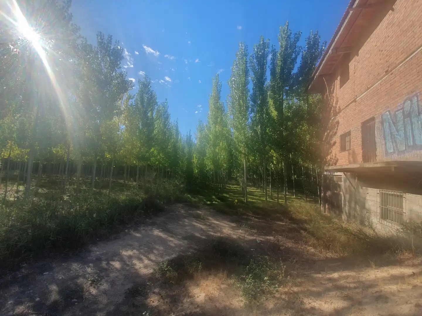 Casa rústica en venda a Purullena, imagen 4