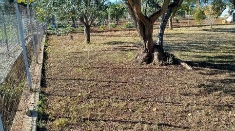 Photo 5 of Land for sale in Plaça Poligono 20, 59, Cariñena - Carinyena, Castellón