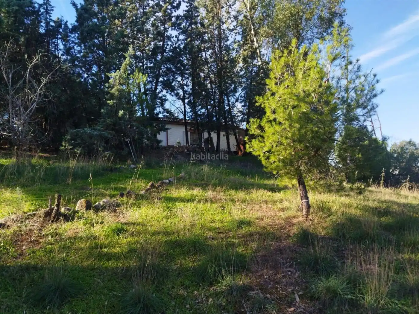 House for sale in Urbanizacion Mojon Blanco F1 106, imagen 10