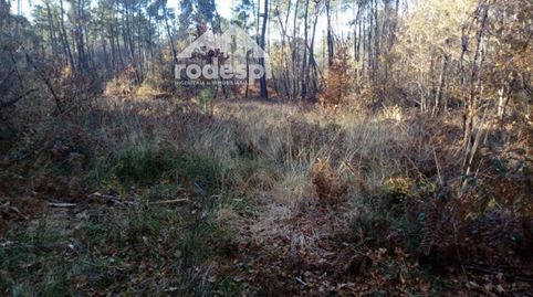 Foto 4 de Terreno en venta en A Cañiza , Pontevedra