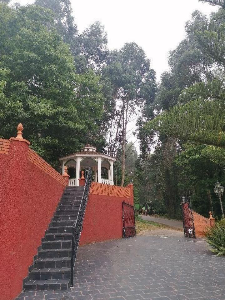Garden of House or chalet for sale in Valdoviño  with Heating, Private garden and Terrace