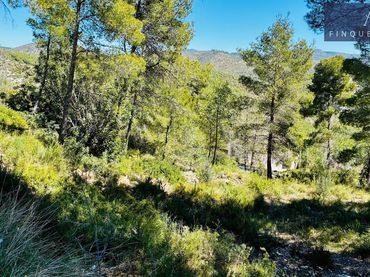 Terreno residencial en venta en Avenida de la Sardana