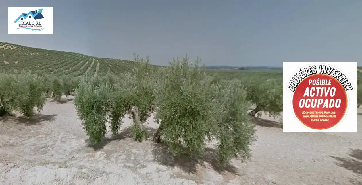 Terreni e lotti in vendita a Camino de Torredonjimeno