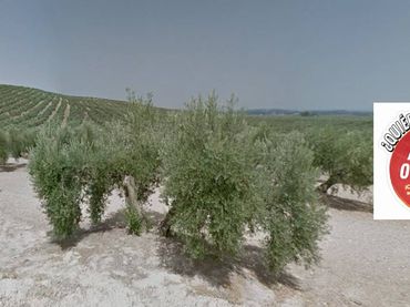 Terreno rustico in vendita a Camino de Torredonjimeno