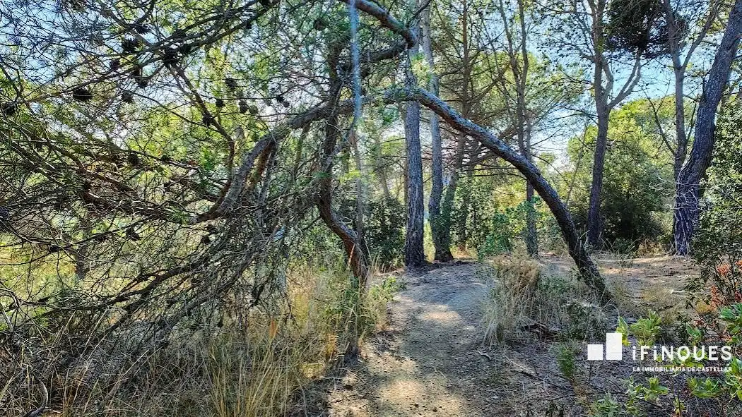 Lands and plots for sale in El Racó - Sant Feliu del Racó, imagen 5