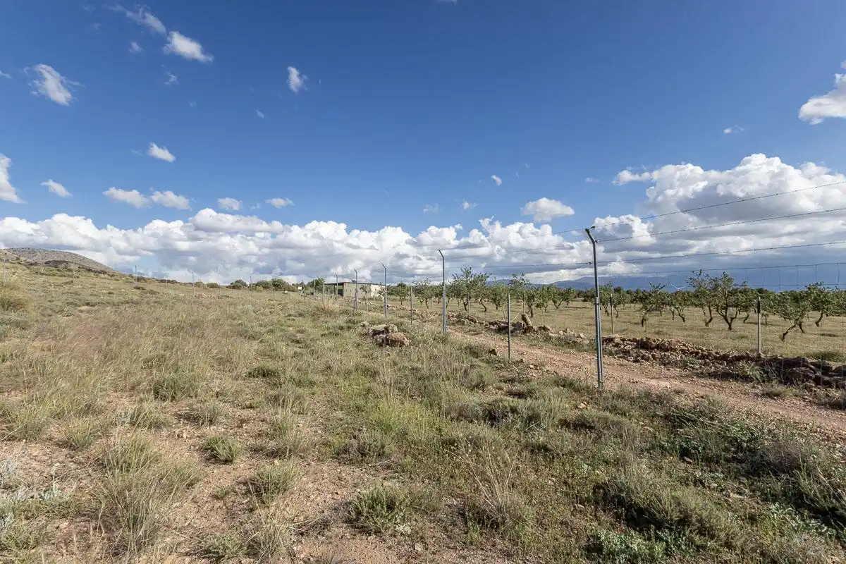 Terreni e lotti in vendita a la finca el launero guadix, imagen 51