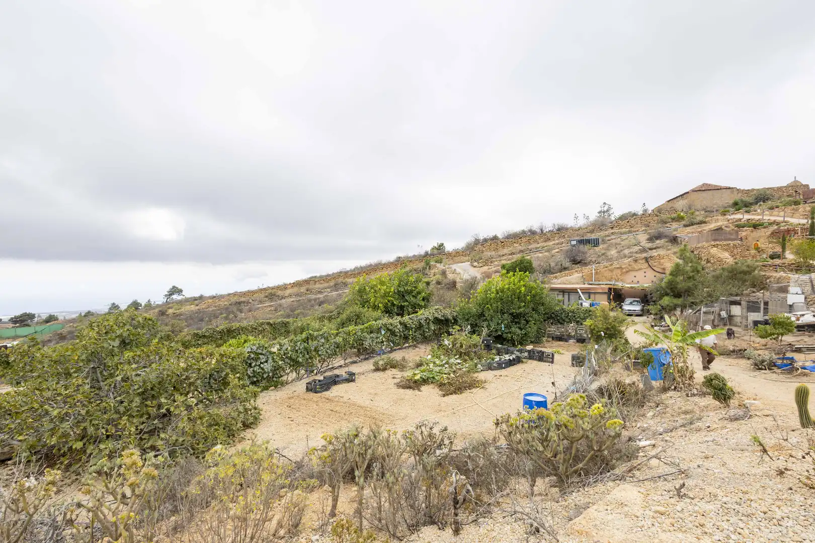 Terreno rustico in vendita a Calle San Bartolomé, imagen 14