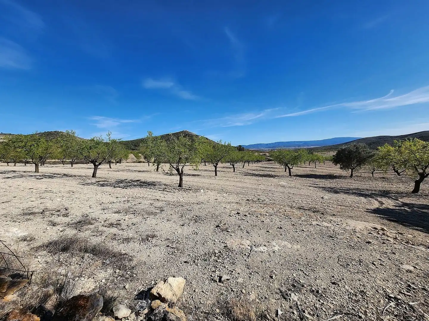 Finca rústica en venta en Caudete con Terraza