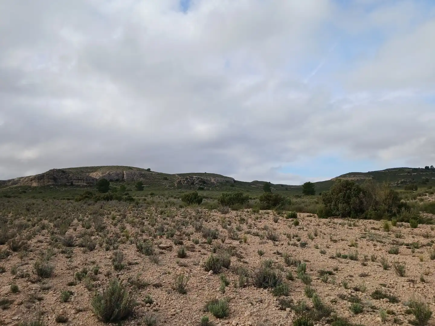Residential land for sale in Yecla, imagen 6
