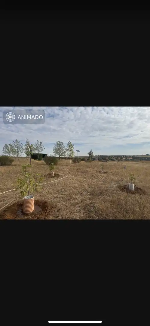 Terreno en venta en Bargas