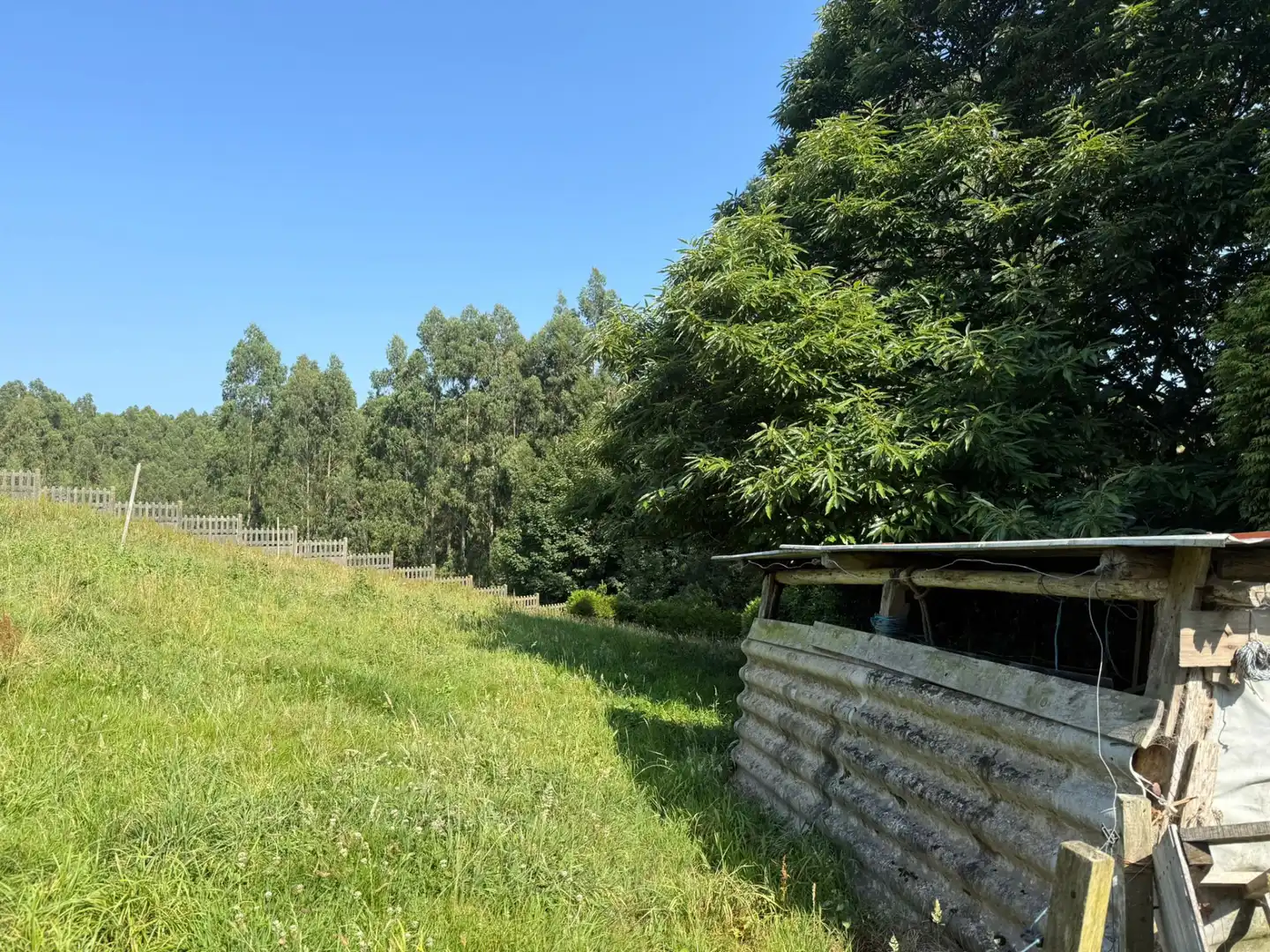 Adossat amb jardí en venda a Cerdido, imagen 27