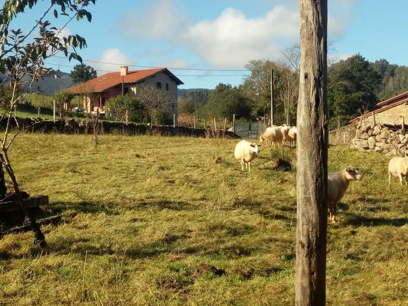 Residential land for sale in Valdáliga, imagen 4