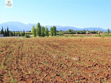 Terreno rústico en venta en Llubí