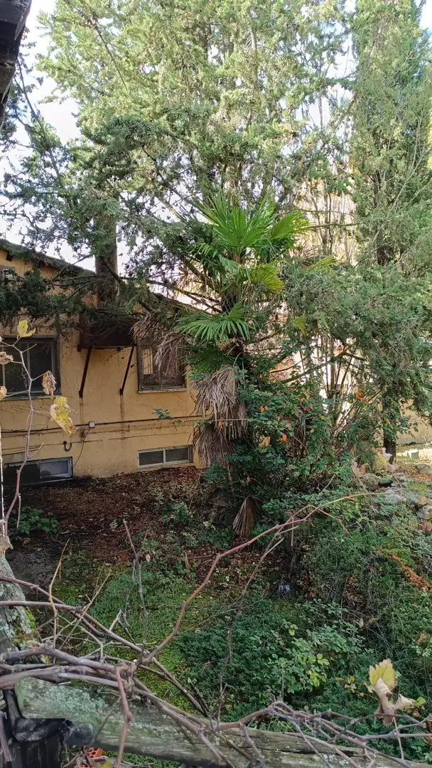 Edificio en venta en Pasaje Sopetran, Cañizar