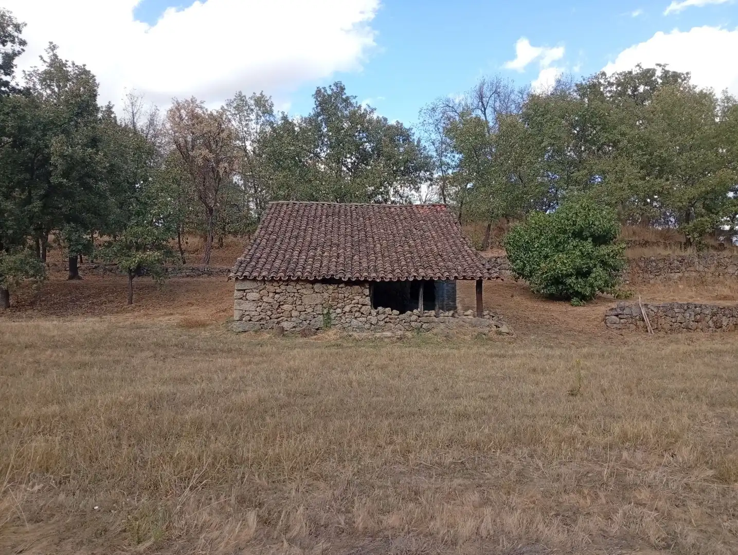 Terreni e lotti in vendita a Villanueva de la Vera, imagen 69