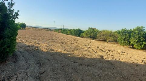 Foto 5 de Finca rústica en venda a Desamparados - Hurchillo - Torremendo, Alicante