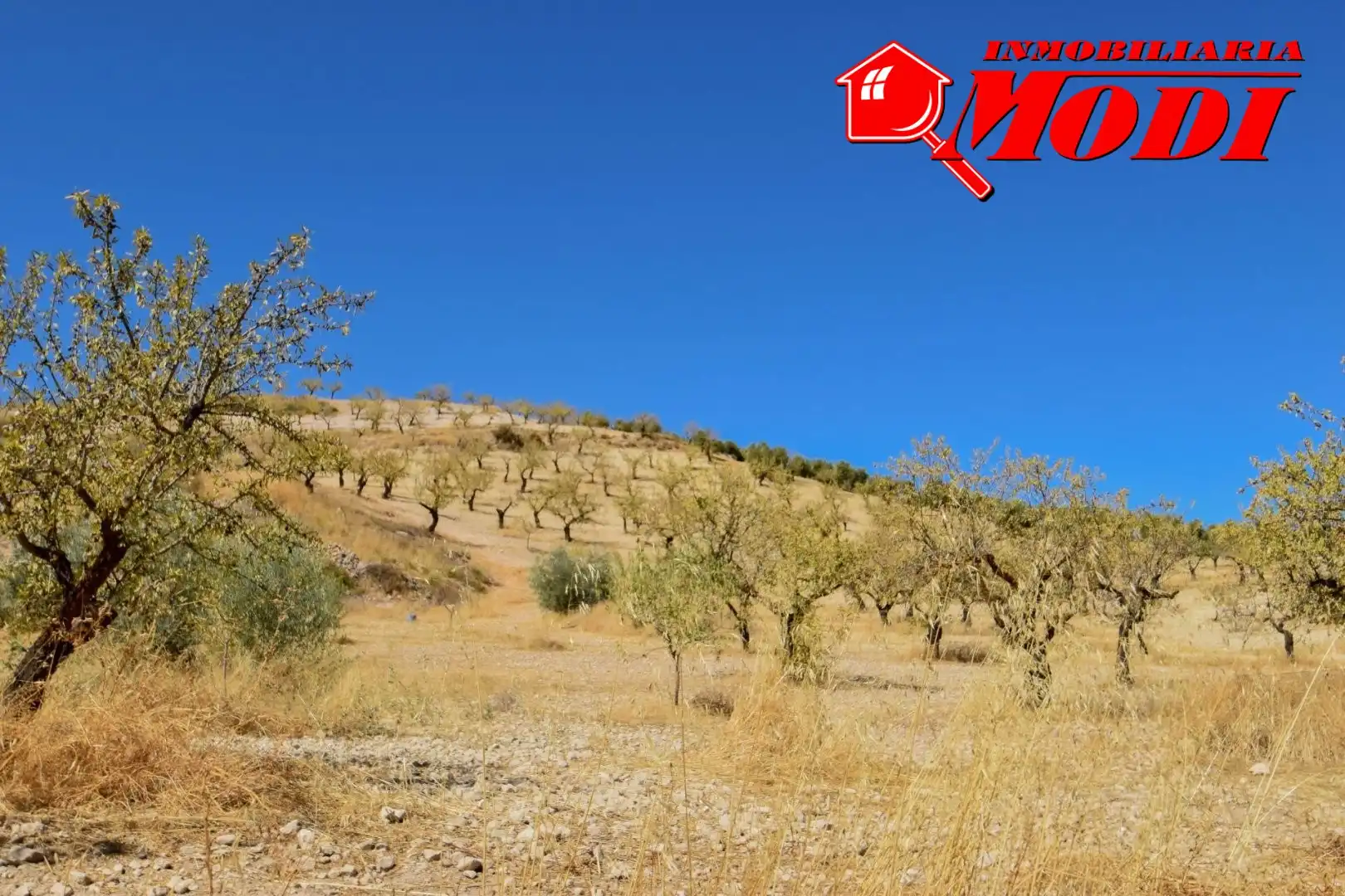 Finca rústica en venda en Cacín amb Jardí privat