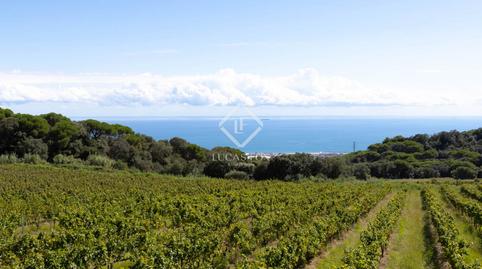 Foto 3 de Finca rústica en venda a Vilassar de Dalt, Barcelona