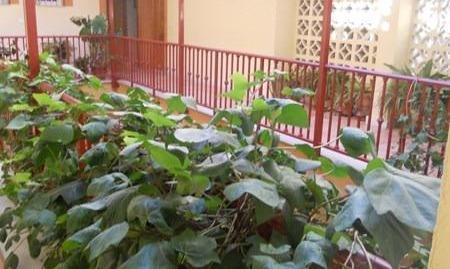 Foto 5 de Piso en venta en Gójar, Granada