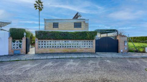 Photo 4 of House or chalet for sale in Calle Ramal de Villanueva, Loreto, Espartinas