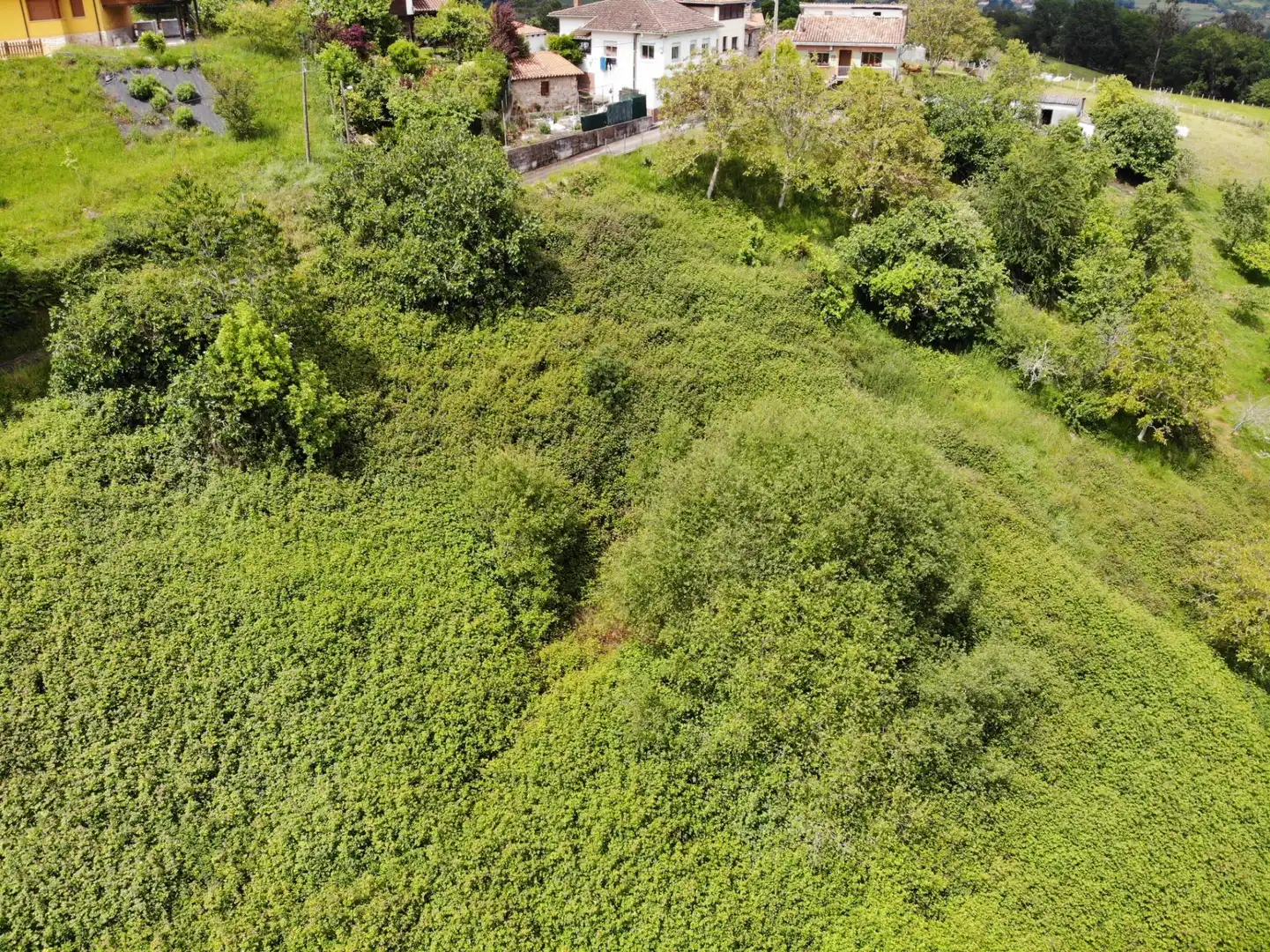 Residential for sale in Piloña