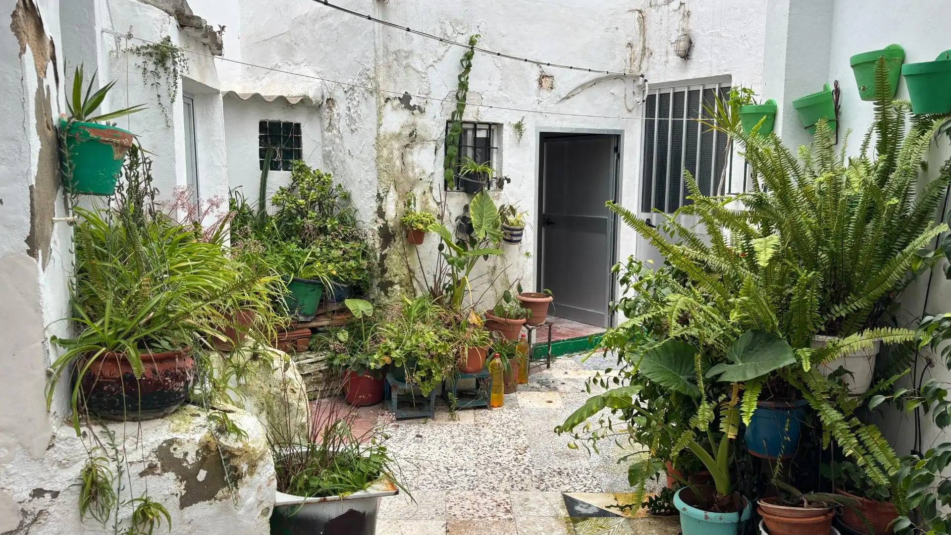 Jardín de Casa o chalet en venta en Vejer de la Frontera