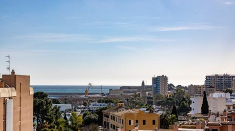 Photo 4 of Flat to rent in Palma de Mallorca - Calle Economo Parera, El Terreno,  Palma de Mallorca