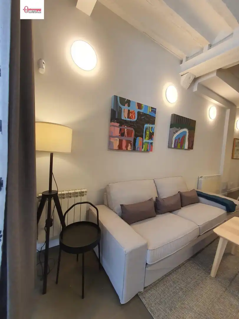 Studio zum Verkauf in Casco Antiguo, imagen 4