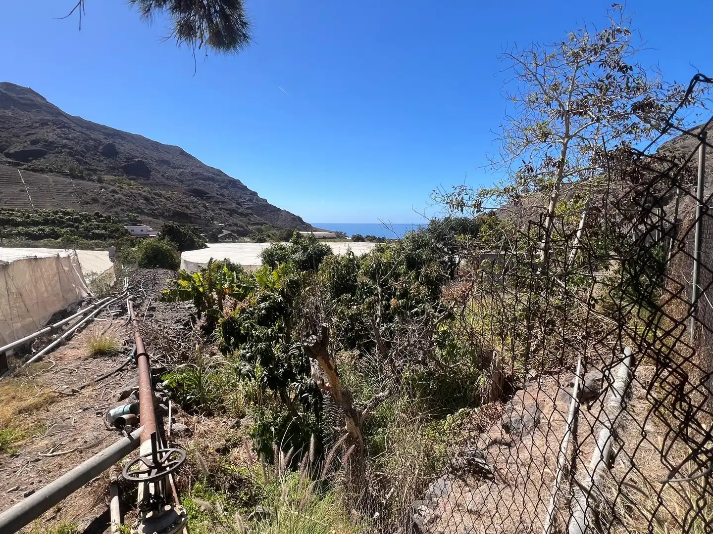 Rural land for sale in Calle Tasarte, imagen 8