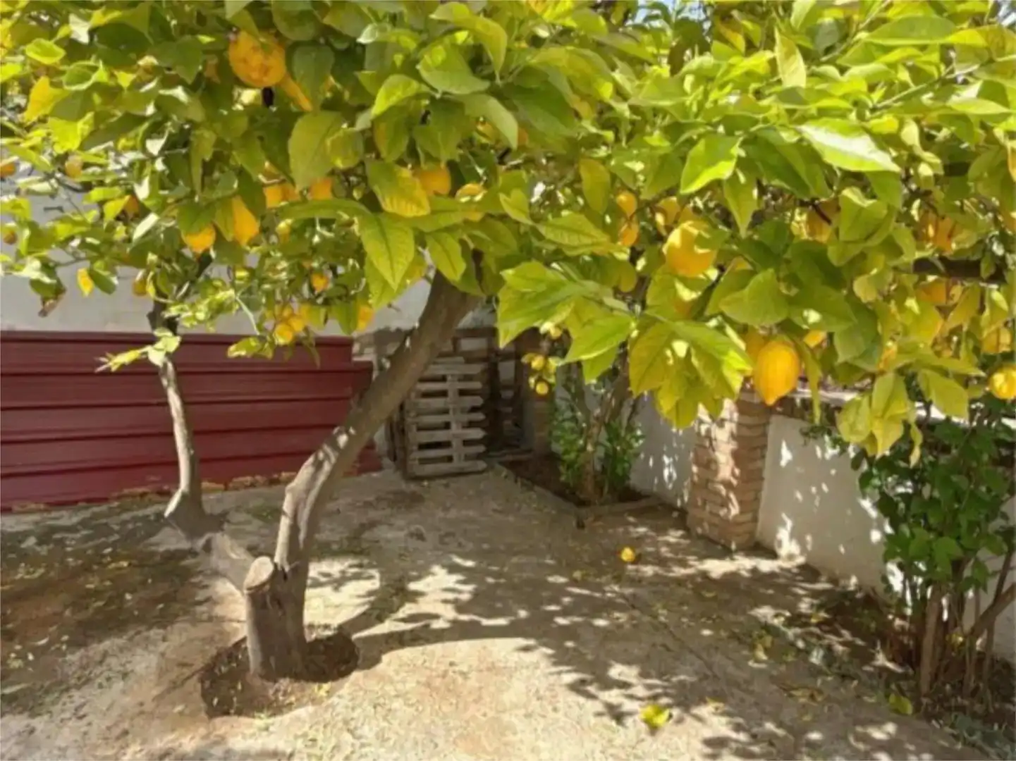 Jardí de Pis en venda en Mollina