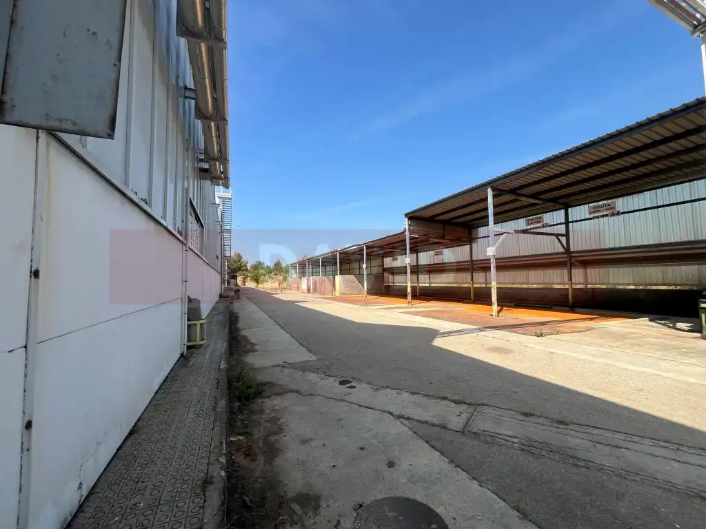 Industrial building for sale in Diseminados Poligon 39, imagen 26
