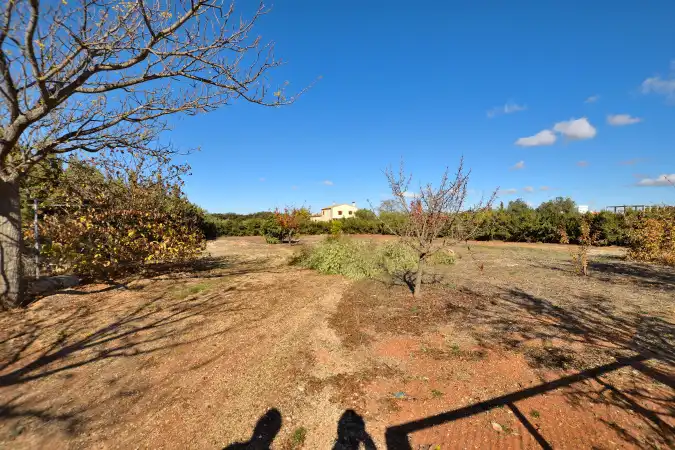 Maison rustique avec piscine à vendre à Partidas Norte, imagen 59