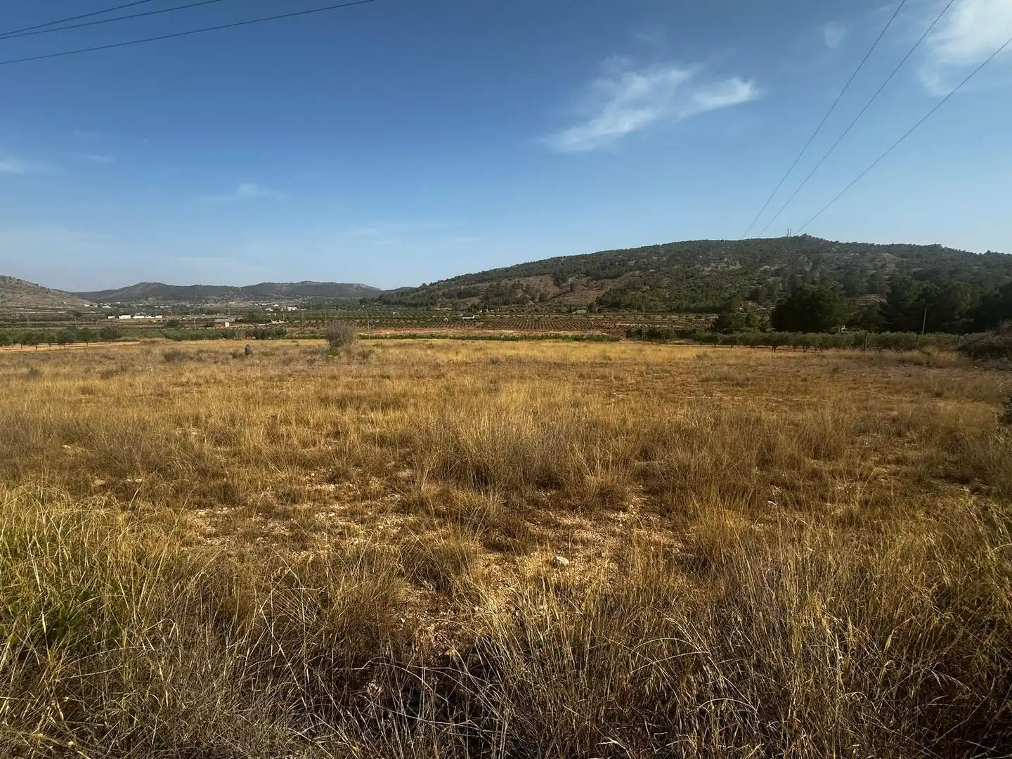 Terreny residencial en venda a El Pinós / Pinoso, imagen 6