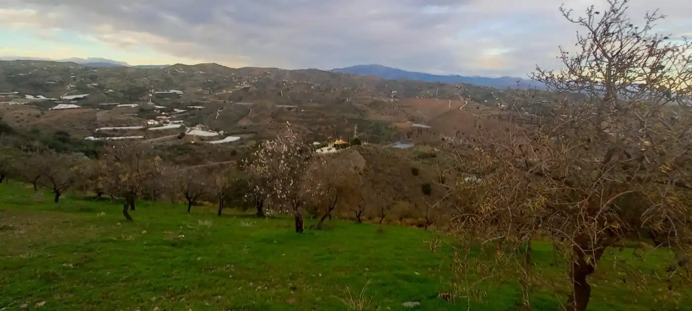 Terreni e lotti in vendita a Benajarafe, imagen 10