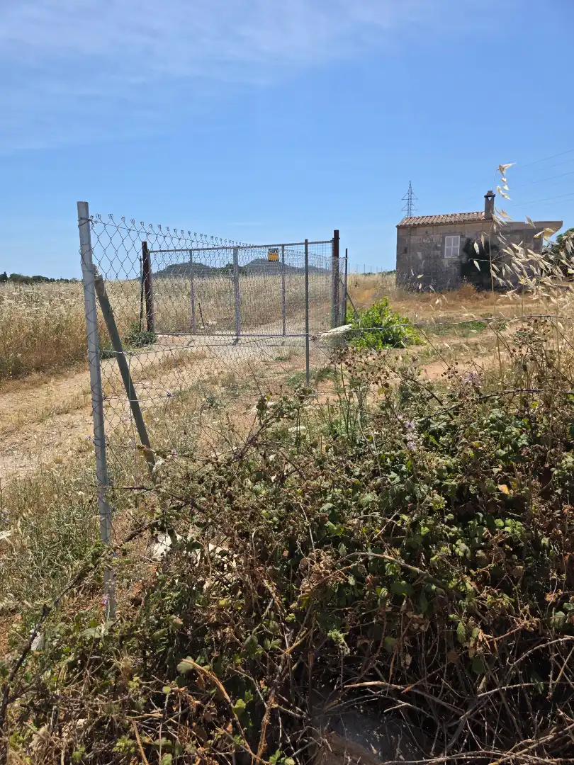 Rustikales Grundstück zum Verkauf in Manacor Centre, imagen 13